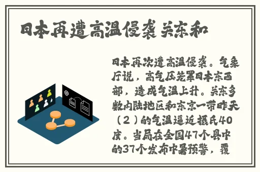双人厨房打扑克的全过程视频
